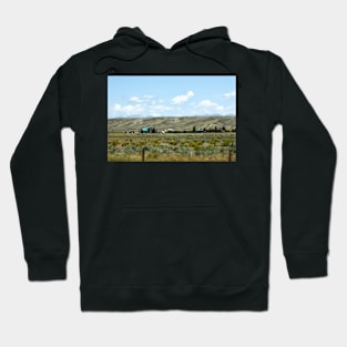 Green roof on the Prairie Hoodie